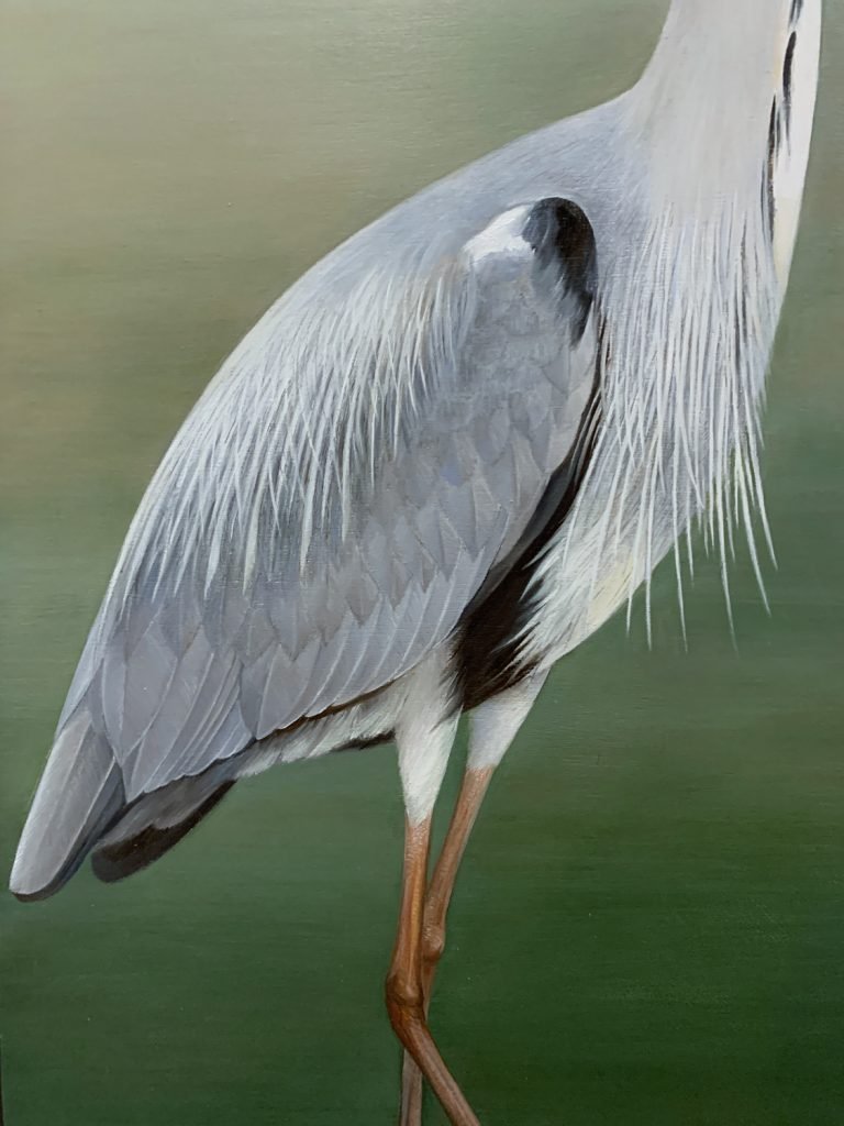 Original painting Grey Heron