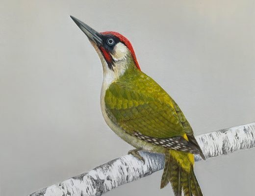 Green Woodpecker painting