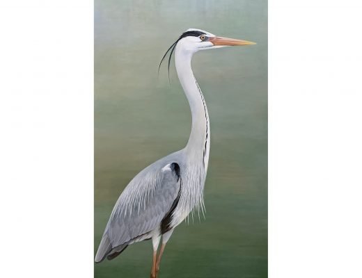 Original painting Grey Heron