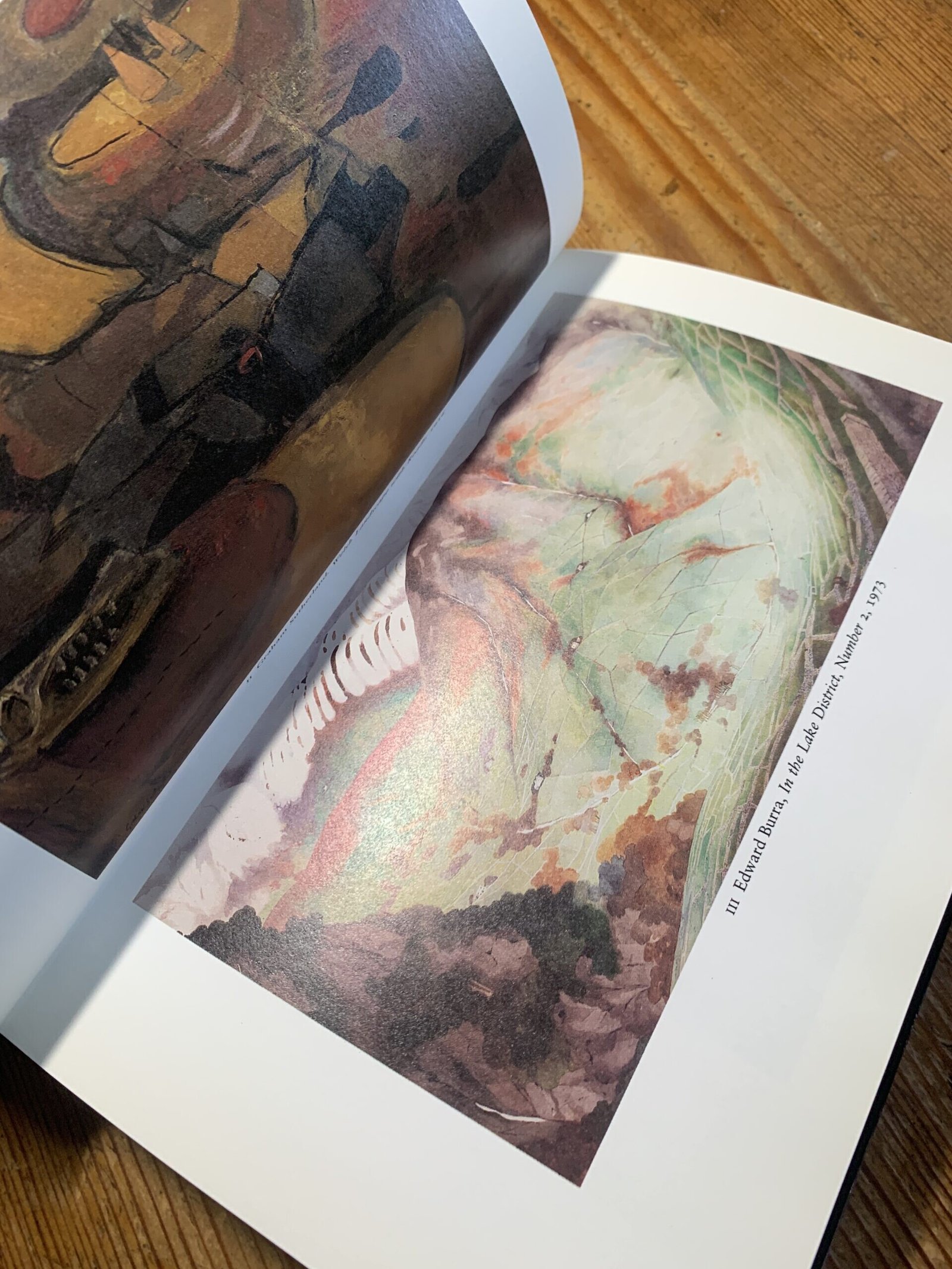The Unquiet Landscape | Christopher Neve | Hardback 1st Edition 7 Unquiet Landscape Christopher Neve 1st Edition