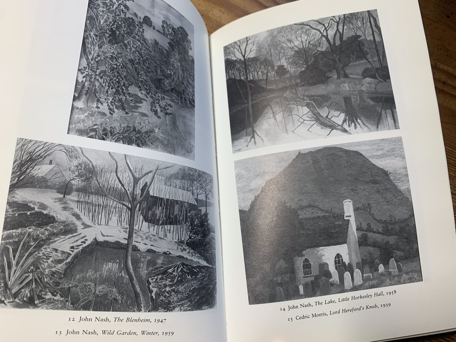 The Unquiet Landscape | Christopher Neve | Hardback 1st Edition 10 The Unquiet Landscape | Christopher Neve | Hardback 1st Edition - Image 10