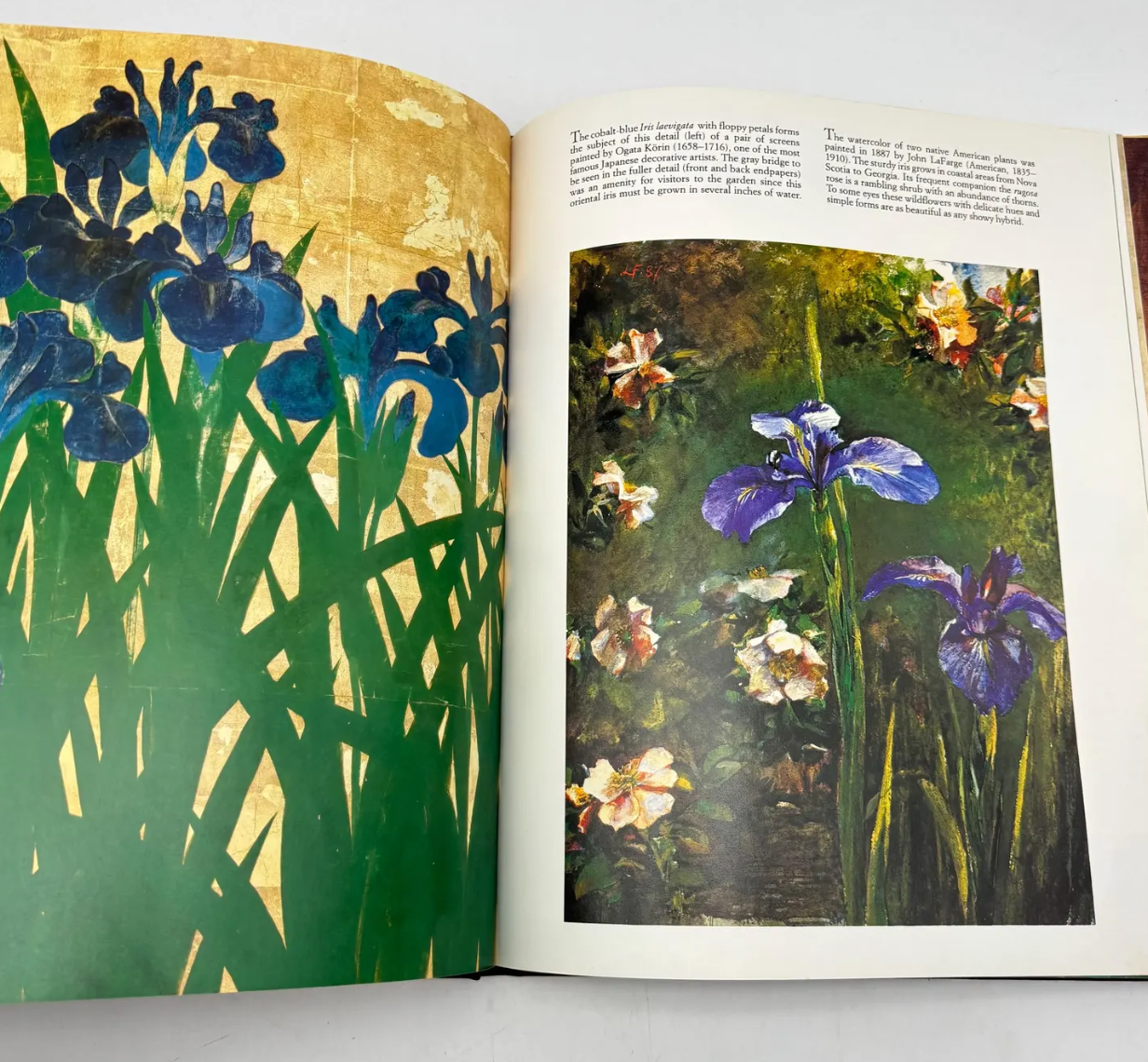 Metropolitan Flowers | The Metropolitan Museum of Art 1 Metropolitan Flowers Everett Fahy